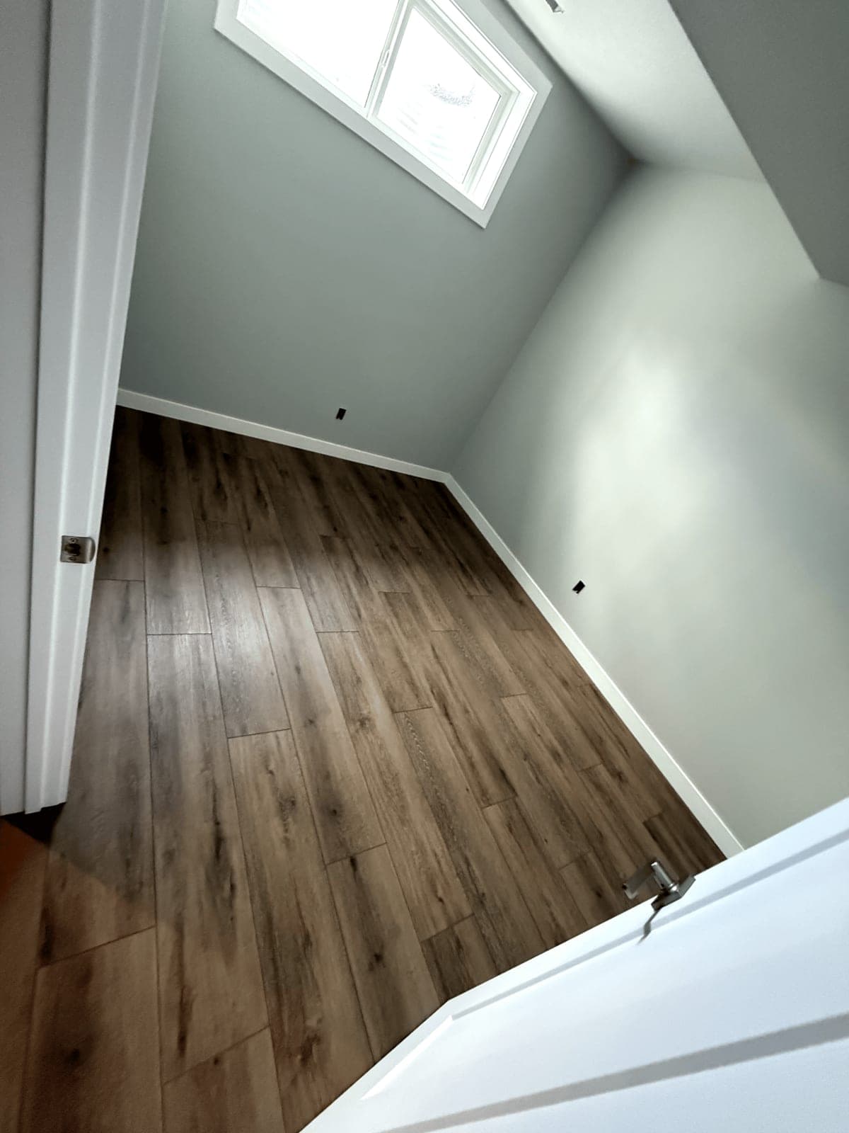 Basement Development 10